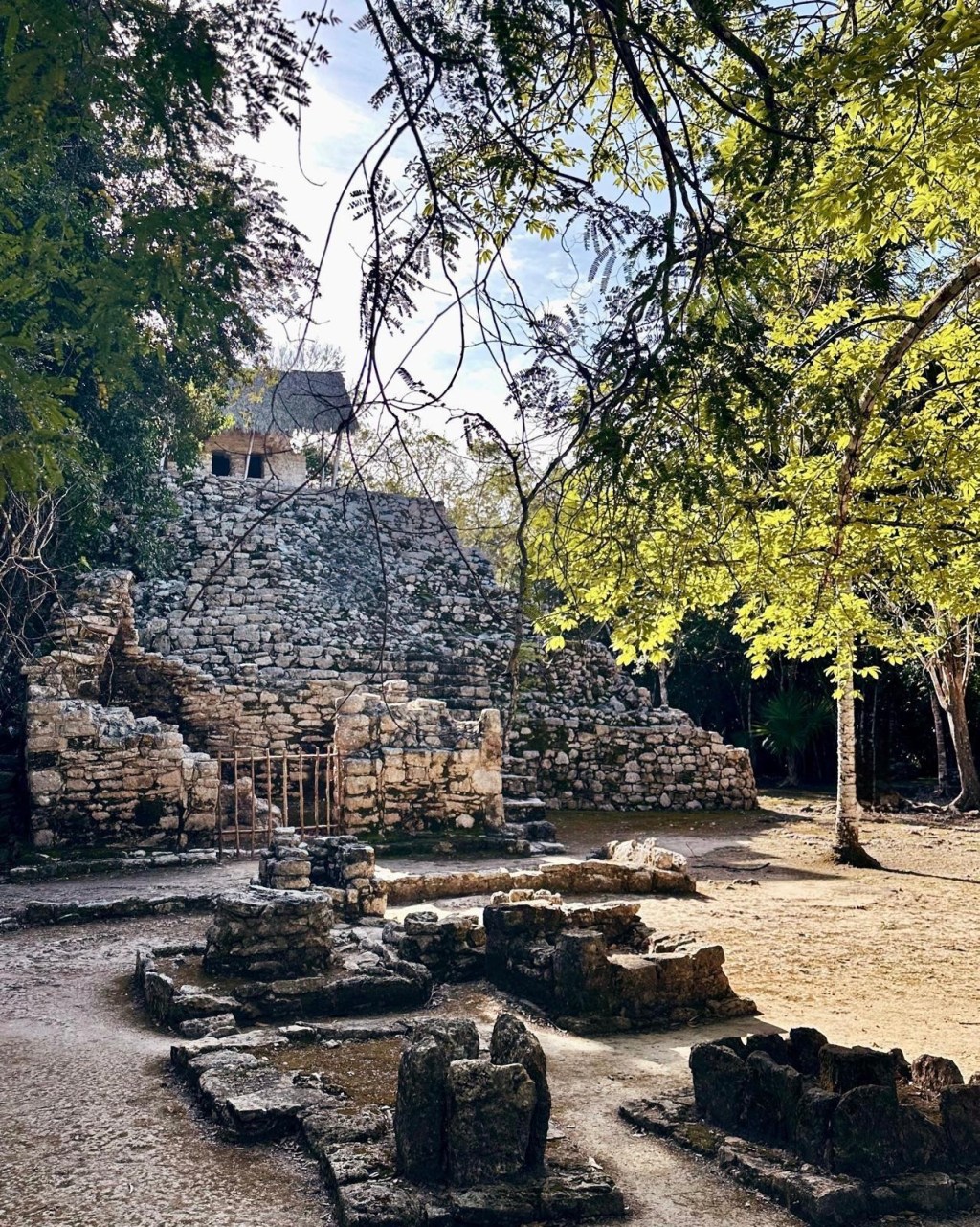 Cobá