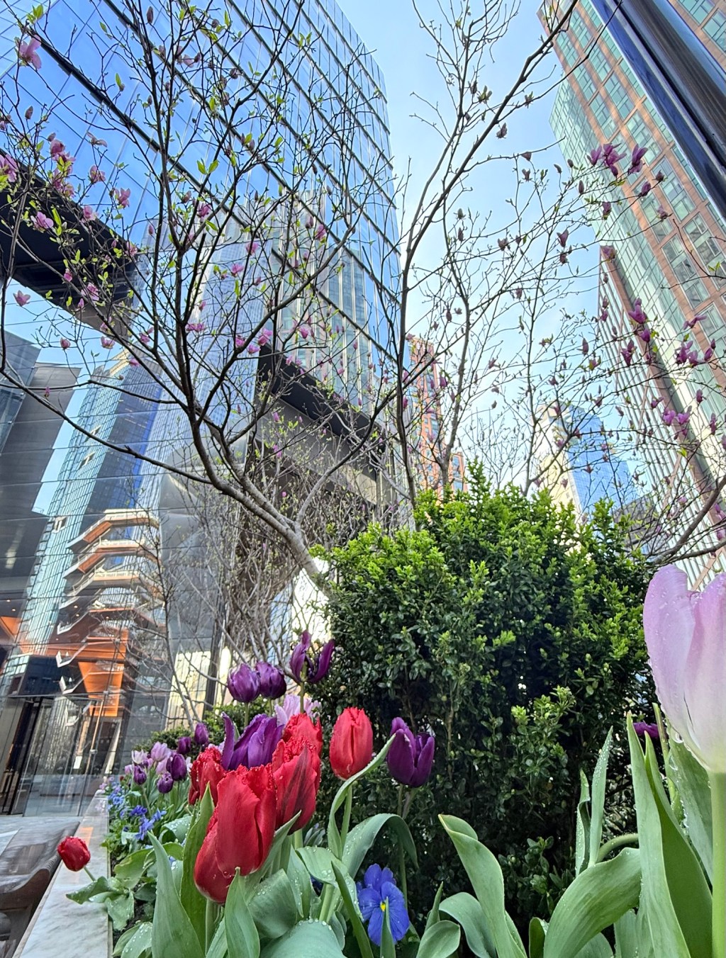Spring in the&nbsp;city